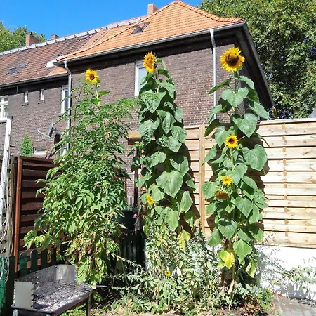 Appartement Big House In - Maximal 6 Persons With Garden Duisburg